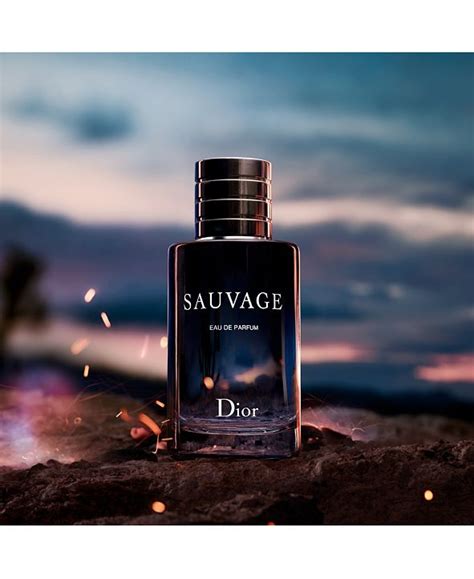 perfume dior macy's|Dior sauvage parfum Macy's.